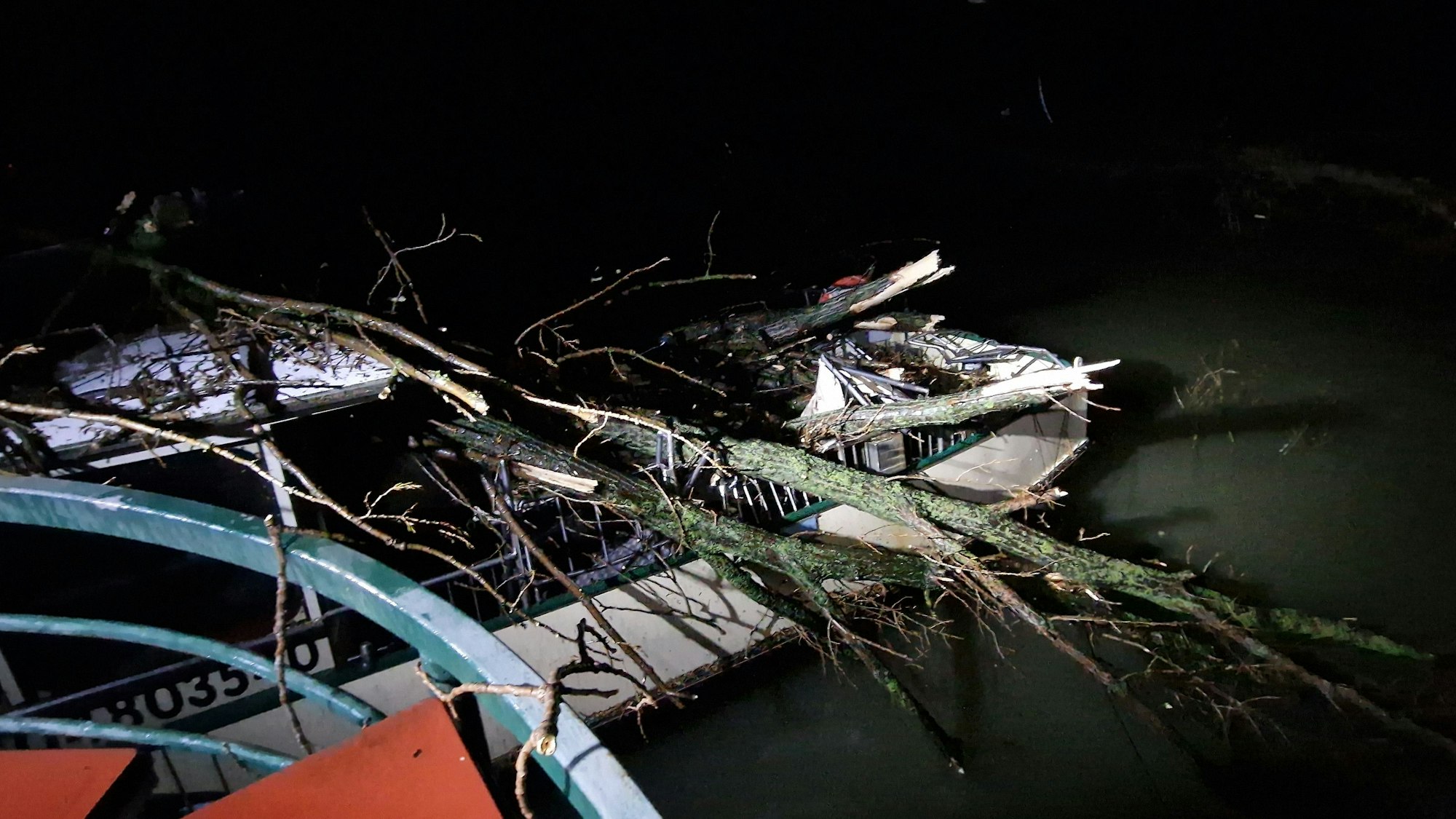 Zwei Bäume sind auf ein Schiff gefallen.