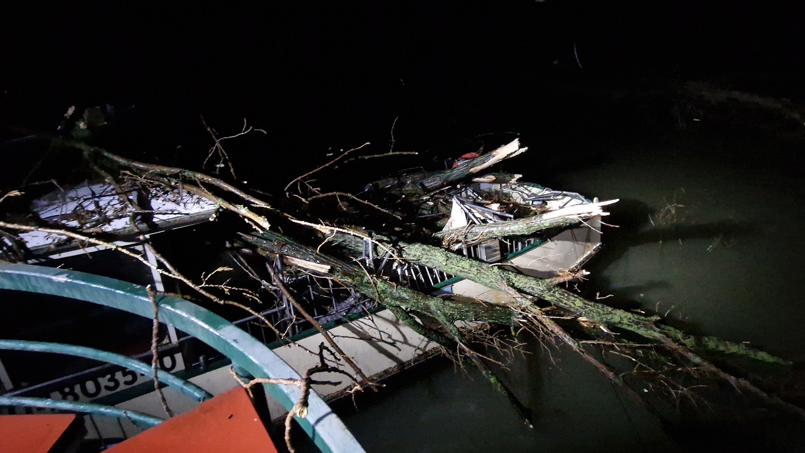 Zwei Bäume liegen quer auf der Fähre.