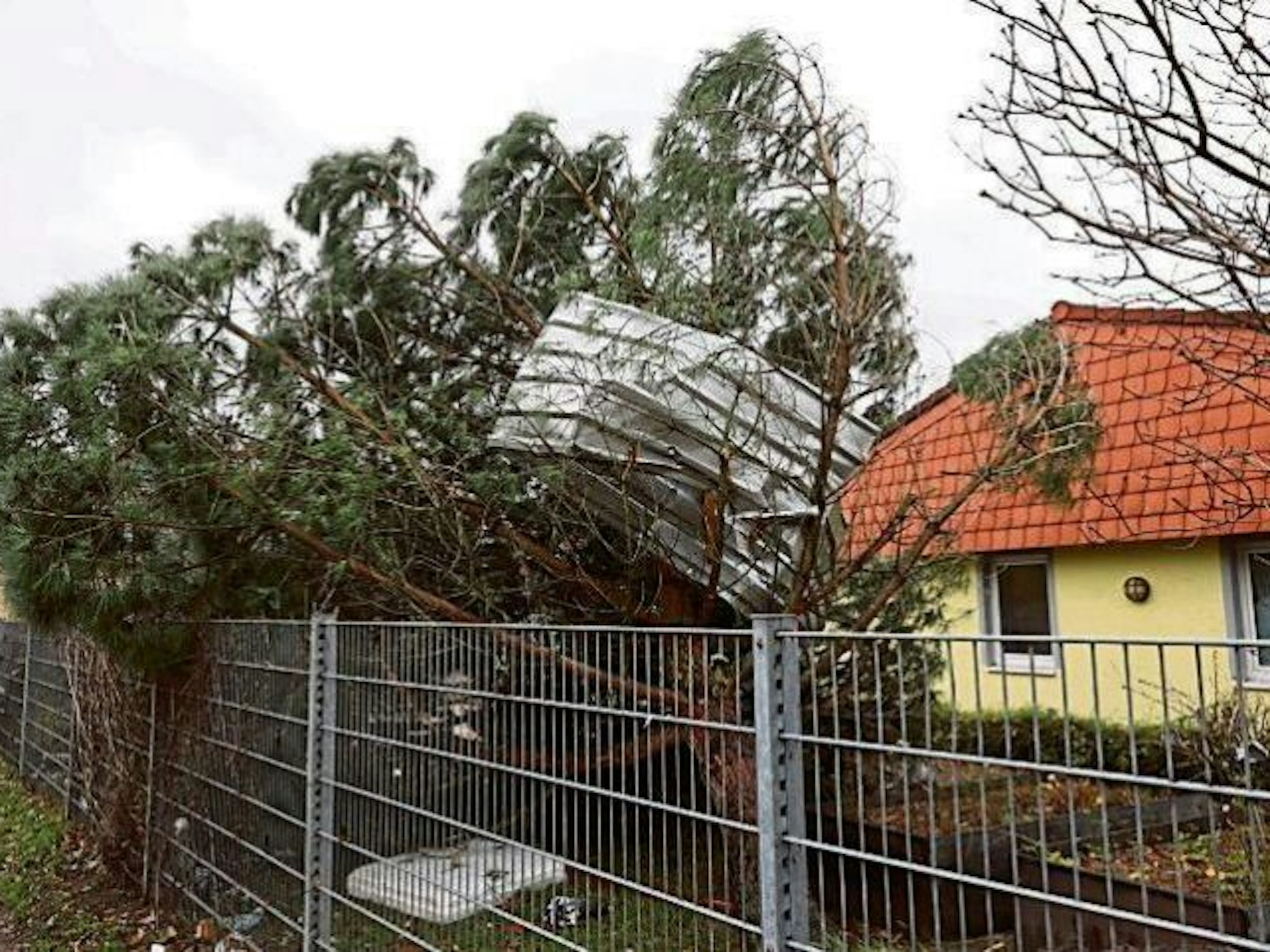 Ein Metallteil hängt in den Ästen eines Baumes.