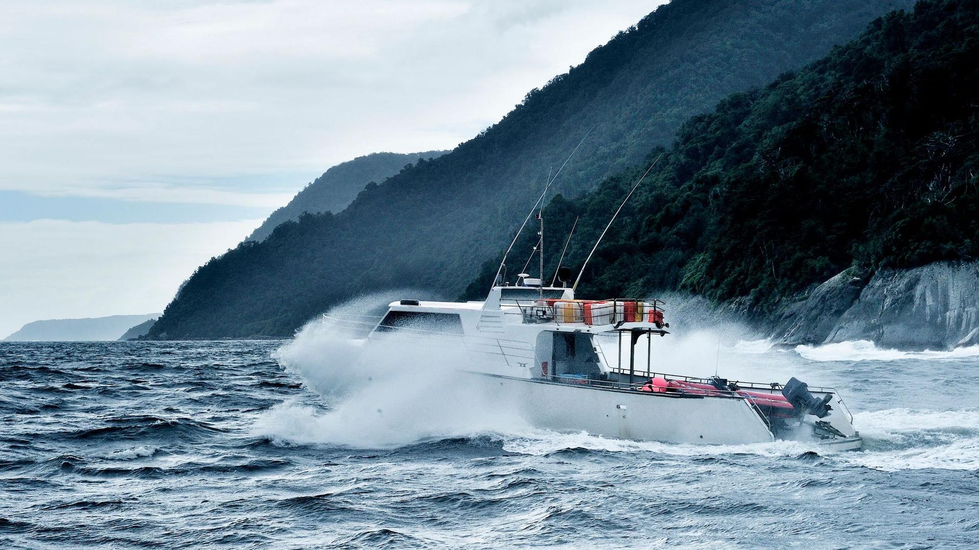 Ein Boot fährt durchs Meer in Neuseeland.