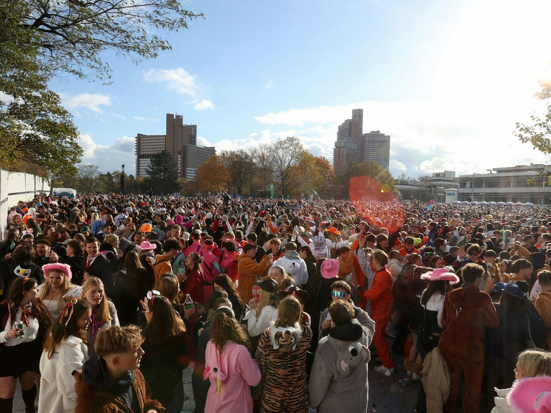 Menschen feiern auf einer Wiese.
