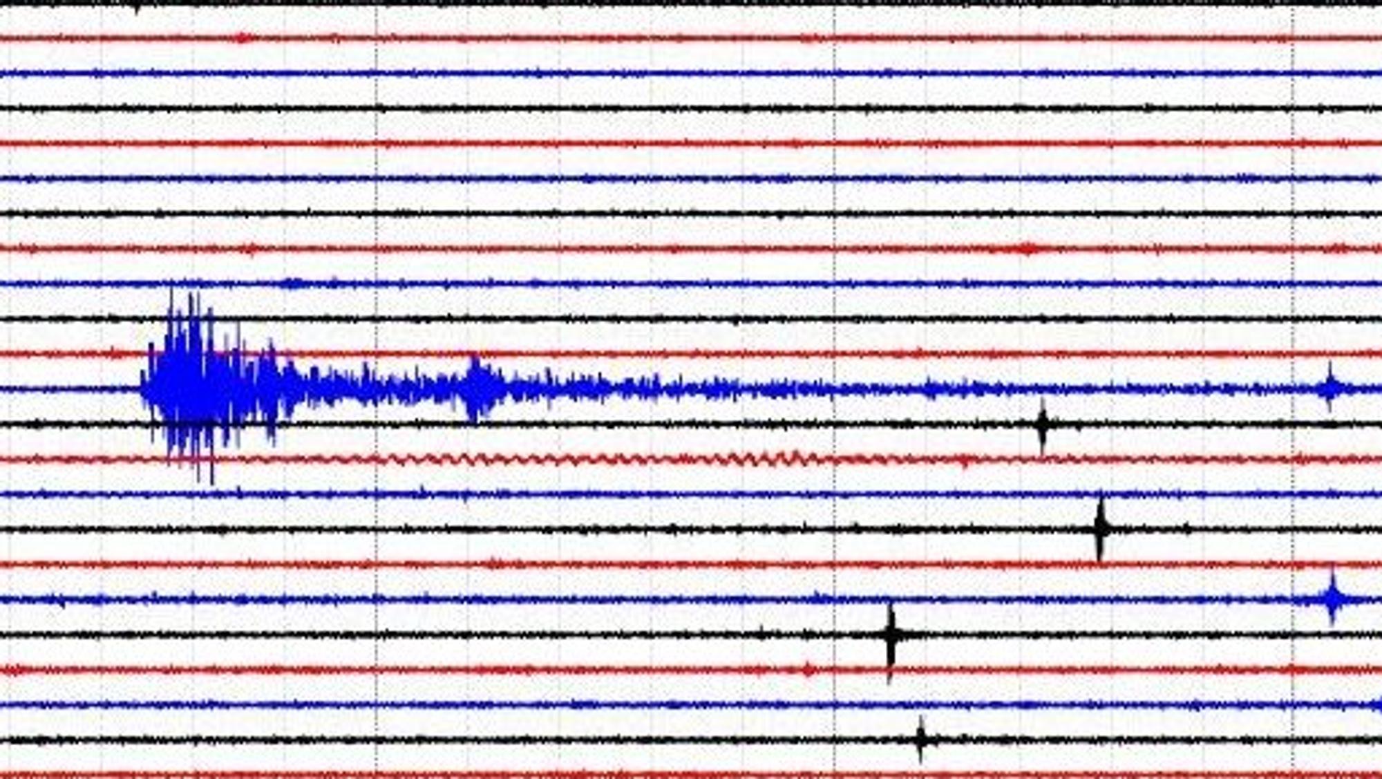 Das Foto zeigt eine Grafik eines Seismografen.