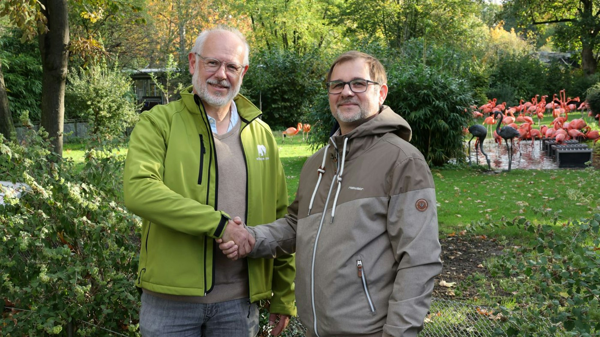 Zwei Männer stehen vor einem Gehege mit Flamingos und schütteln sich die Hand.