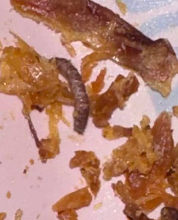 Eine Lidl-Kundin postete auf Facebook eine unappetitliche Entdeckung in Hundefutter: In der verschlossenen Tüte fand sie Würmer.
