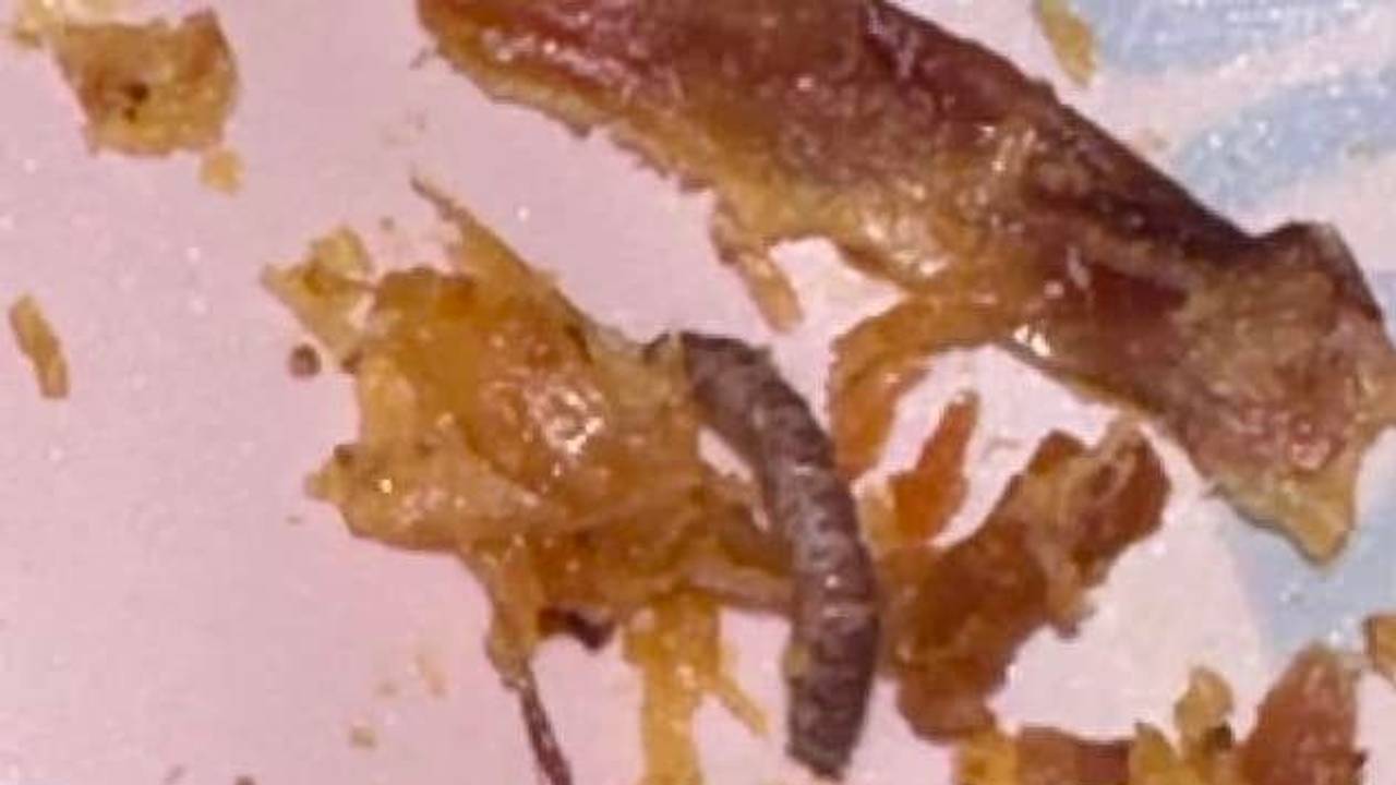 Eine Lidl-Kundin postete auf Facebook eine unappetitliche Entdeckung in Hundefutter: In der verschlossenen Tüte fand sie Würmer.