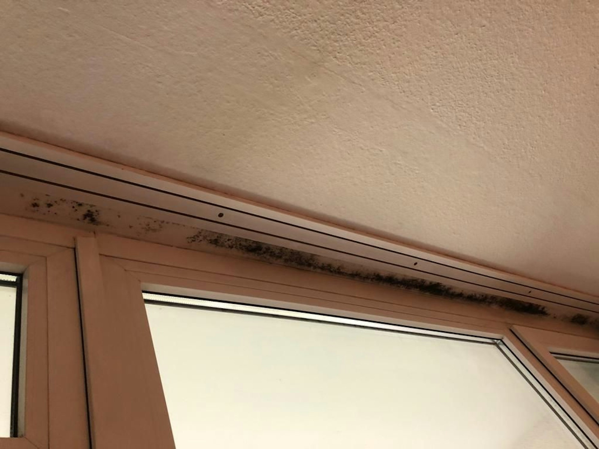 Der Schimmelbefall über der Balkontür in der Wohnung der Mekadmis.