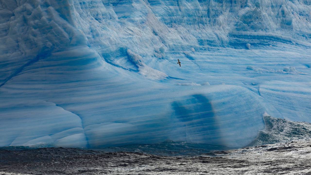 Nachdem der Vogelgrippe-Ausbruch die Antarktis erreicht hat, befürchten Umweltexpertinnen und -experten ein Massensterben von Seevögeln und Meeressäugetieren. Das Foto zeigt einen Gletscher im Weddellmeer.