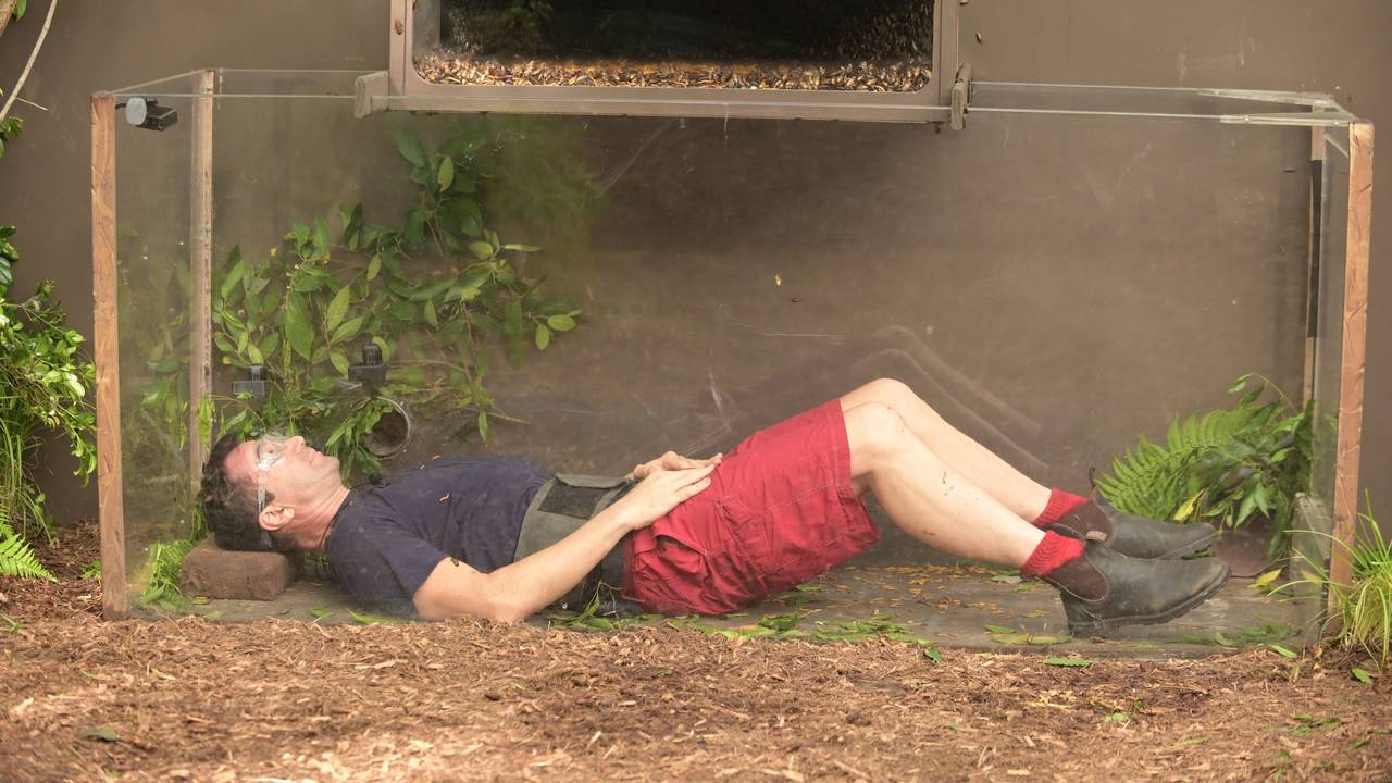 Ein Mann in blauem T-Shirt und roter Hose liegt in einem Glaskäfig inmitten Tausender Kakerlaken
