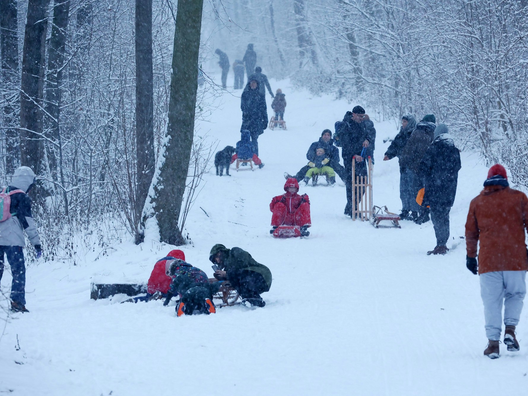 Kinder und Erwachsene rodeln einen Berg hinunter.