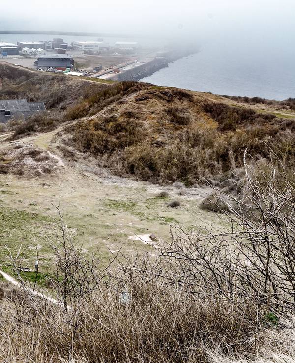 Die Goldafter-Raupe, die sowohl Pflanzen als auch Menschen schädigen kann, hat sich auf Helgoland ausgebreitet. Unser Foto zeigt Helgoland im Jahr 2022.