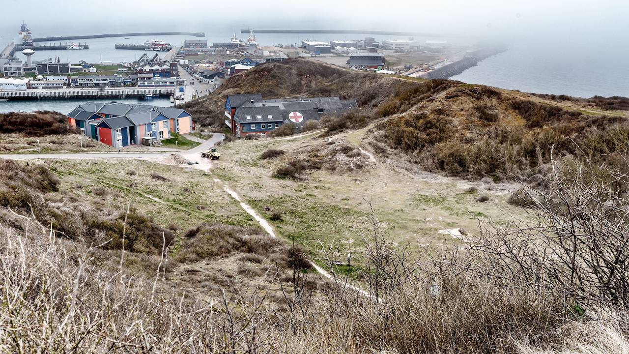 Die Goldafter-Raupe, die sowohl Pflanzen als auch Menschen schädigen kann, hat sich auf Helgoland ausgebreitet. Unser Foto zeigt Helgoland im Jahr 2022.