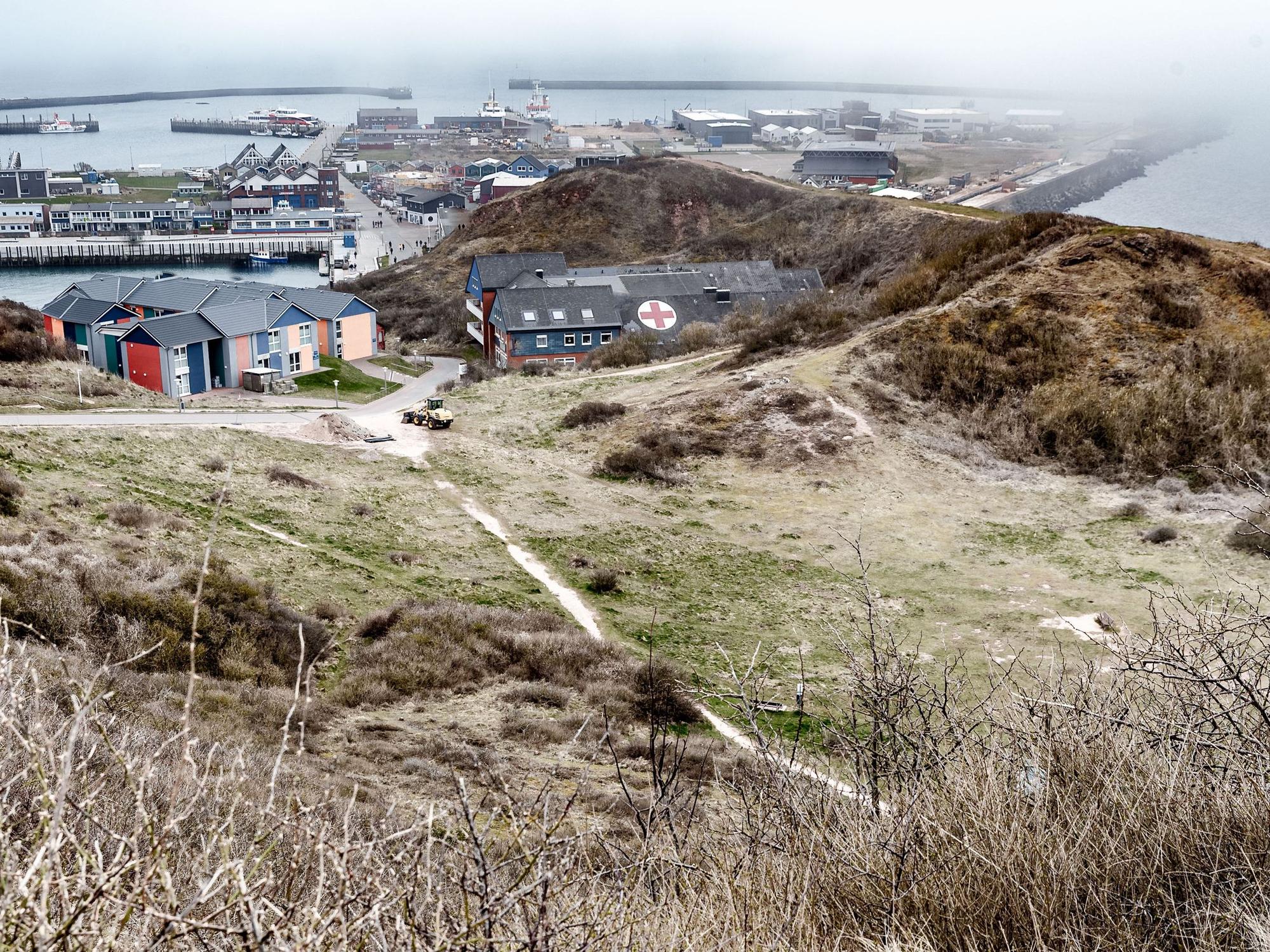 Die Goldafter-Raupe, die sowohl Pflanzen als auch Menschen schädigen kann, hat sich auf Helgoland ausgebreitet. Unser Foto zeigt Helgoland im Jahr 2022.