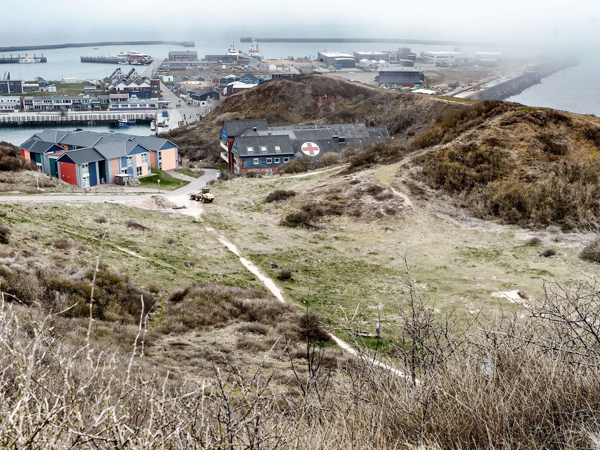 Die Goldafter-Raupe, die sowohl Pflanzen als auch Menschen schädigen kann, hat sich auf Helgoland ausgebreitet. Unser Foto zeigt Helgoland im Jahr 2022.
