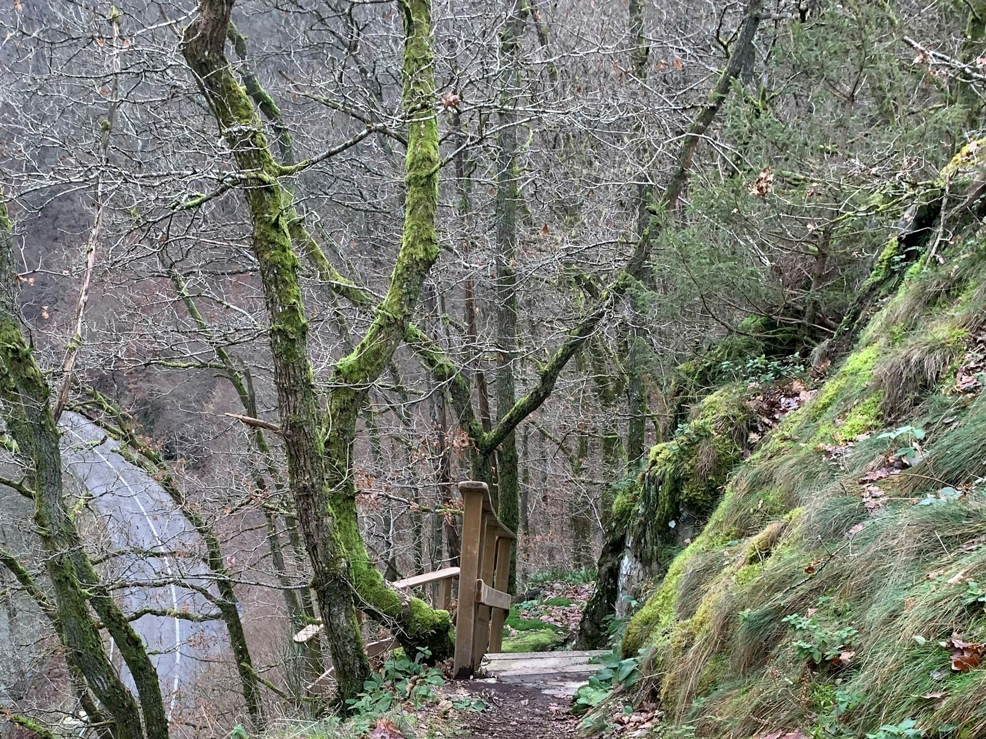 Wandern im Foret des Anlier in den Ardennen
im Januar 2024