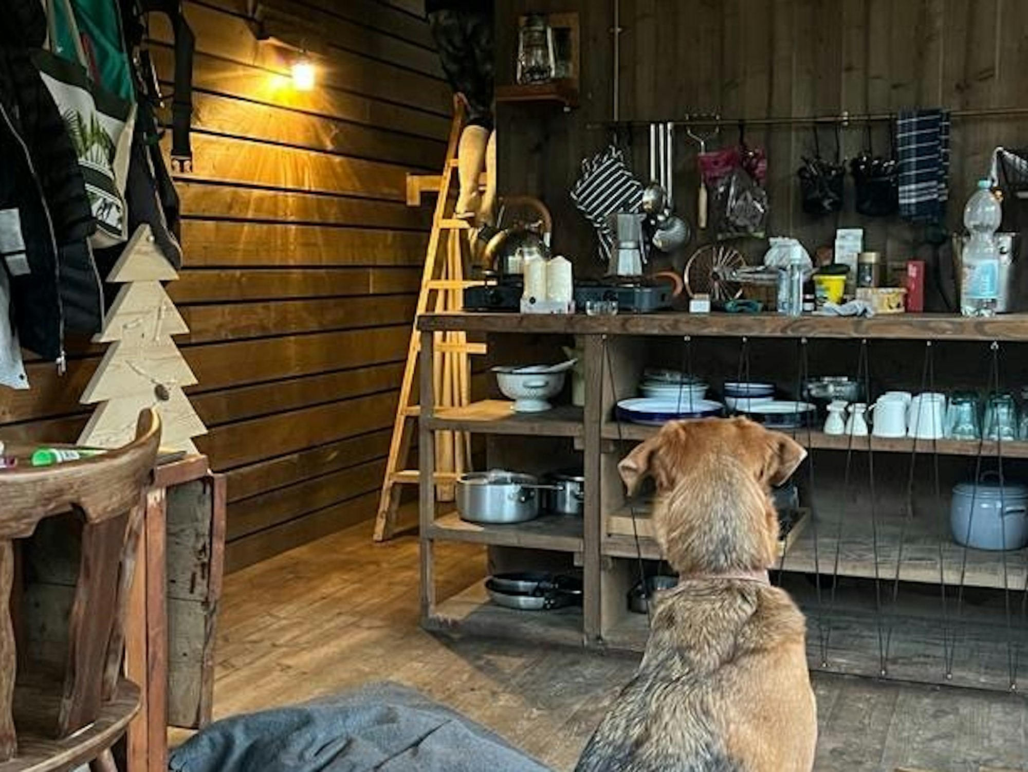 Innenansicht einer Cabin von Nutchel in den Ardennen im KJanuar 2024