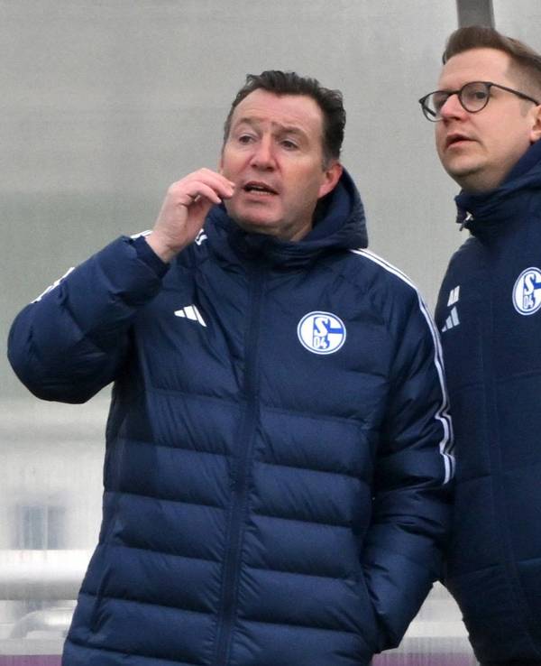 Marc Wilmots und André Hechelmann stehen beim Training von Schalke 04 am Spielfeldrand und unterhalten sich.