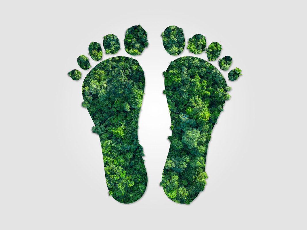 Zwei Fußabdrücke, die mit grünen Bäumen ausgefüllt sind, sind auf einem weißen Untergrund abgebildet.