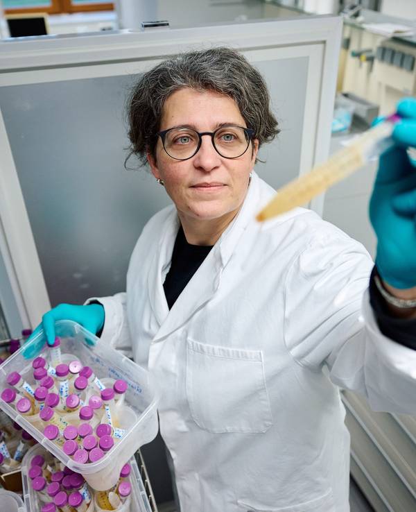 Projektleiterin Yvonni Chovolou, Toxikologin des Landesamt für Natur, Umwelt und Verbraucherschutz (Lanuv) Nordrhein-Westfalen, nimmt tiefgefrorene Urinproben aus einem Gefrierschrank in einem Labor. Mit ihrem Team konnte er den Weichmacher Di-n-hexyl-Phthalat (DnHexP), der die Fruchtbarkeit schädigen soll, in zahlreichen Urinproben von Kleinkindern in Nordrhein-Westfalen nachweisen.