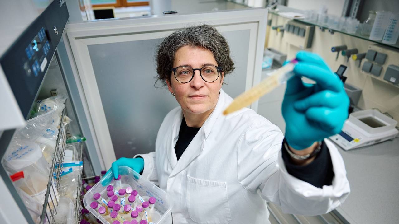 Projektleiterin Yvonni Chovolou, Toxikologin des Landesamt für Natur, Umwelt und Verbraucherschutz (Lanuv) Nordrhein-Westfalen, nimmt tiefgefrorene Urinproben aus einem Gefrierschrank in einem Labor. Mit ihrem Team konnte er den Weichmacher Di-n-hexyl-Phthalat (DnHexP), der die Fruchtbarkeit schädigen soll, in zahlreichen Urinproben von Kleinkindern in Nordrhein-Westfalen nachweisen.