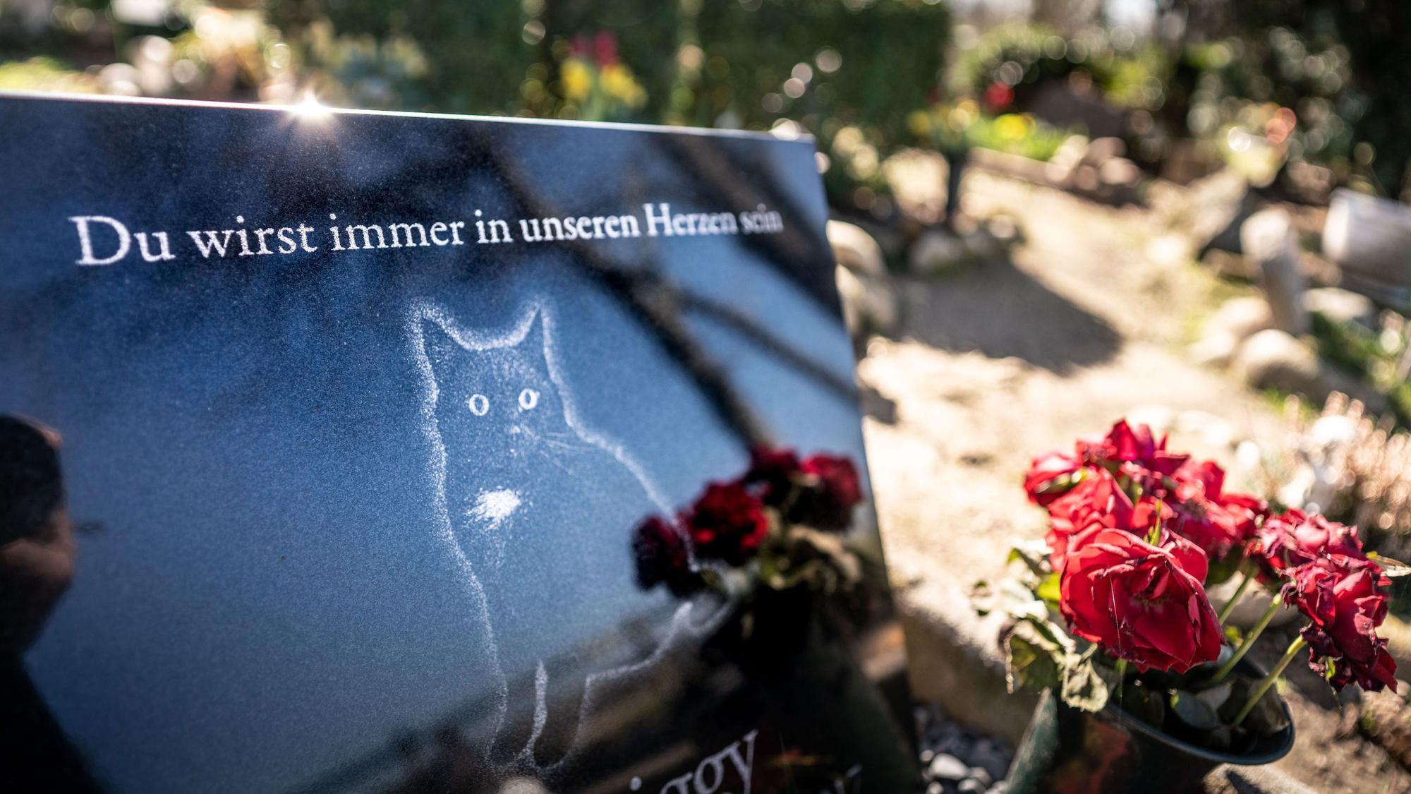 Ein Grabstein zeigt eine Katze, darüber die Inschrift „Du wird immer in unseren Herzen sein“.