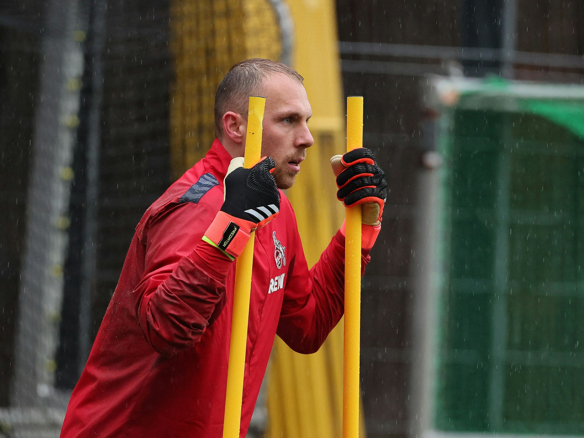1. FC Köln: Training mit Marvin Schwäbe