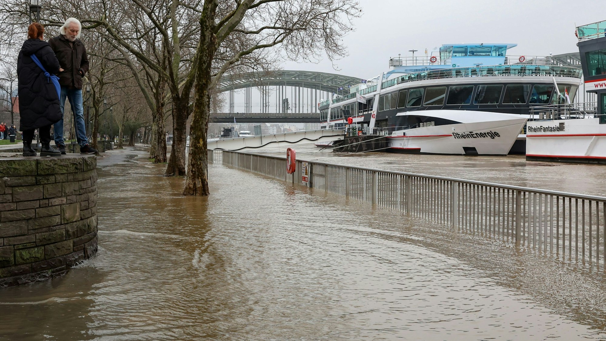 Ein Weg am Rheinufer inklusive Bäume stehen unter Wasser.