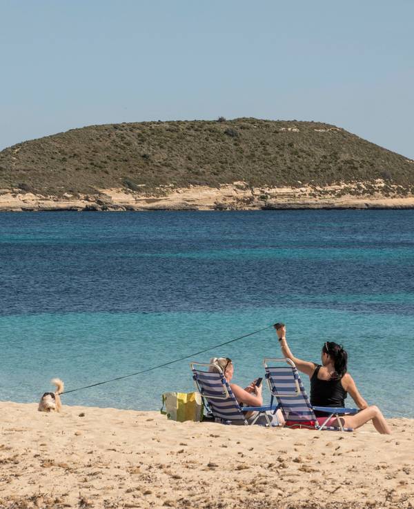 Zwei Frauen mit Hund liegen in Liegestühlen am Strand von Mallorca