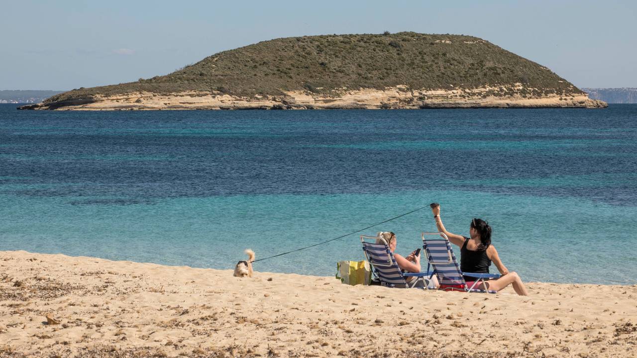 Zwei Frauen mit Hund liegen in Liegestühlen am Strand von Mallorca