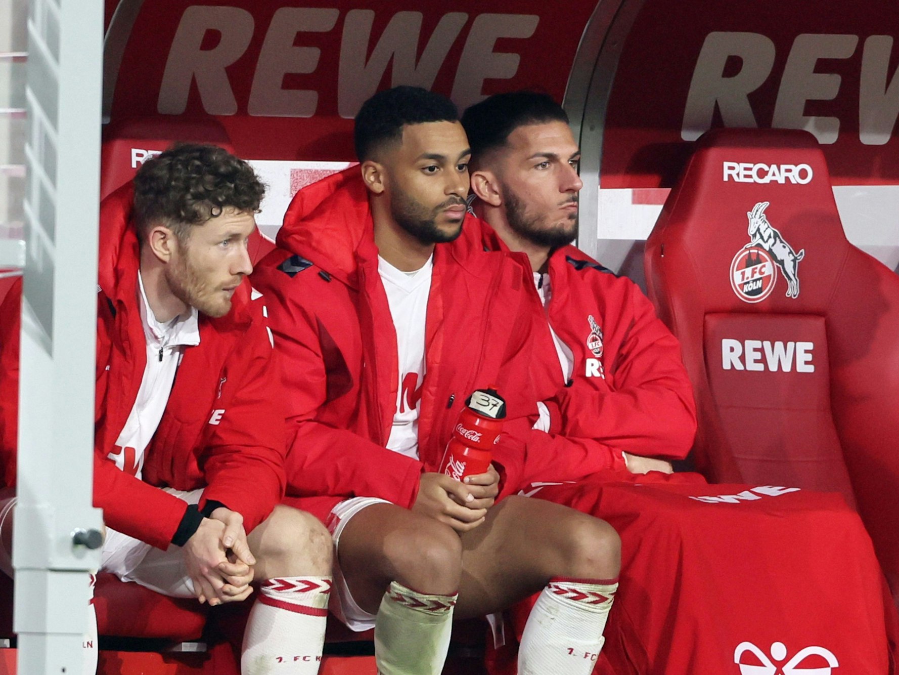 Florian Kainz, Linton Maina und Leart Pacarada auf der Bank des 1. FC Köln.
