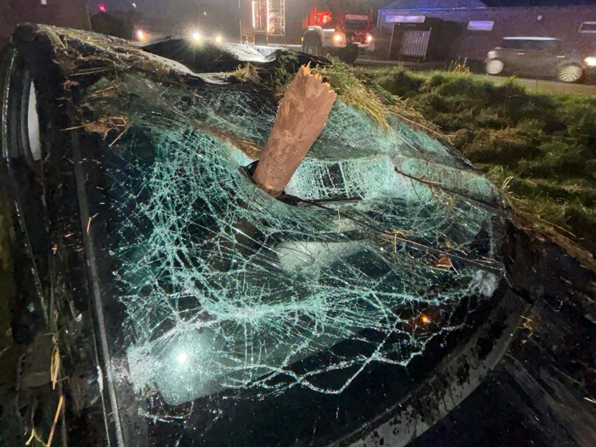 Ein Auto steht auf einer Wiese bei Elsdorf mit einem Holzpfahl in der Windschutzscheibe.