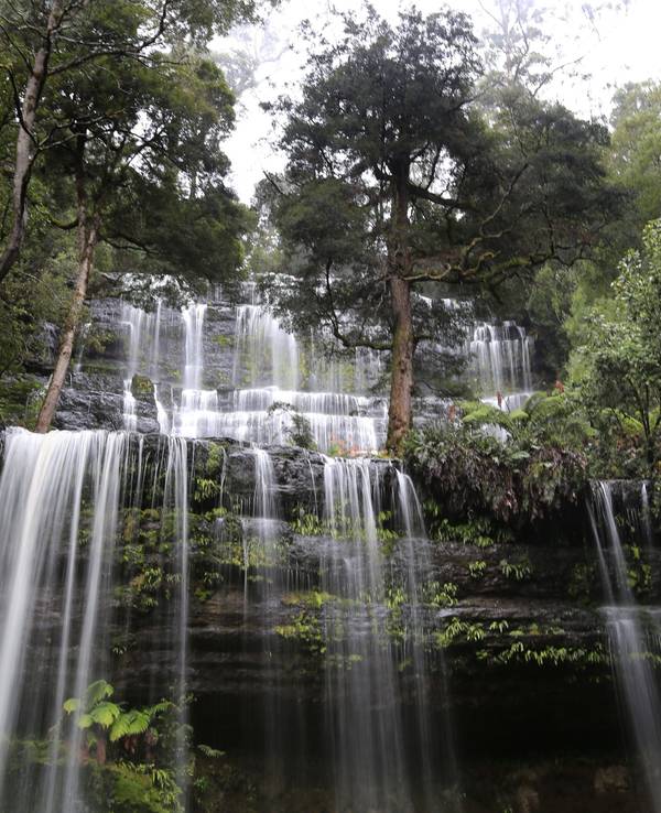 Ein am 5. Juni 2014 veröffentlichtes Foto zeigt die Russell Falls, einen Wasserfall im Mt Field National Park, Tasmanien, Australien, am 21. Mai 2014. Die Aufnahme dient als Symbolfoto, es handelt sich nicht um den Ort des Unglücks.