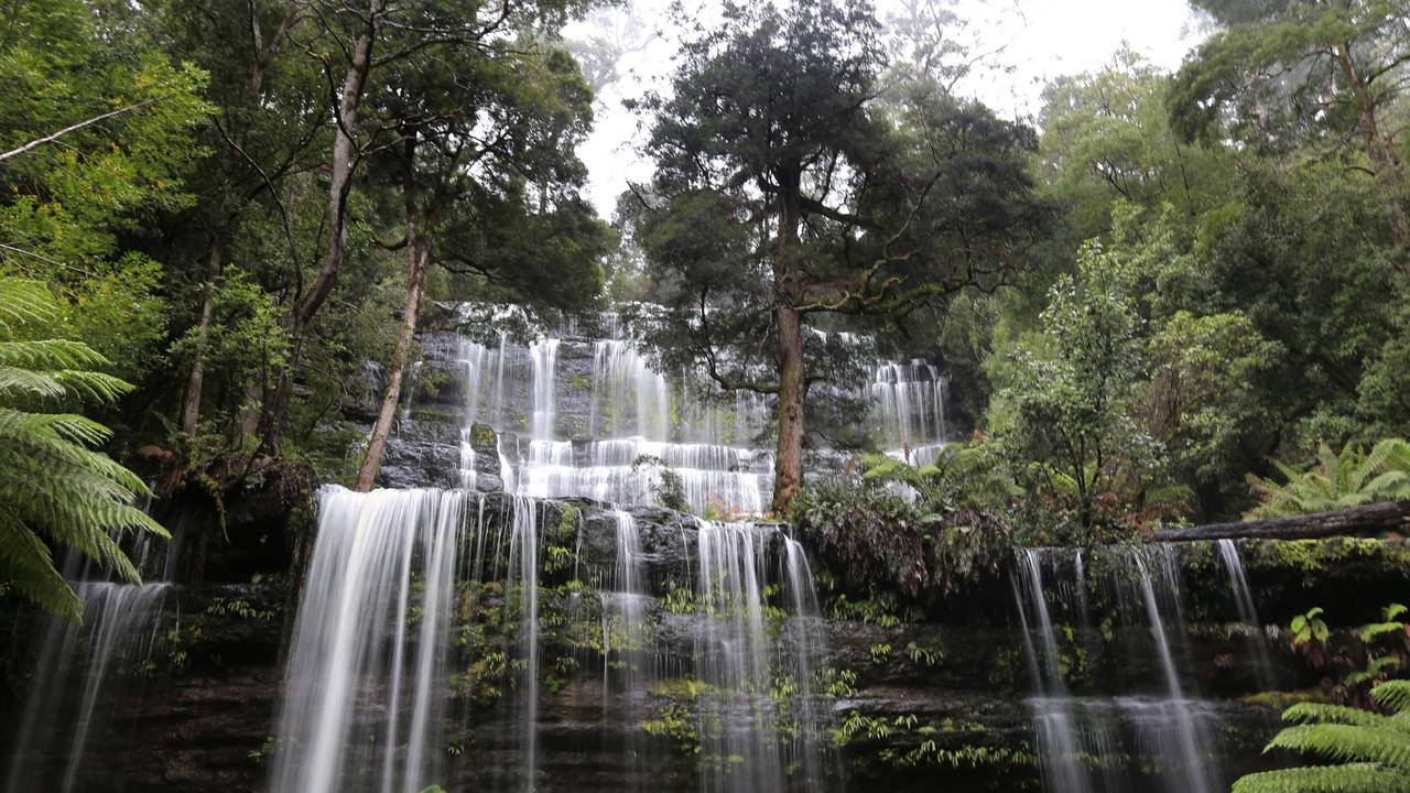 Ein am 5. Juni 2014 veröffentlichtes Foto zeigt die Russell Falls, einen Wasserfall im Mt Field National Park, Tasmanien, Australien, am 21. Mai 2014. Die Aufnahme dient als Symbolfoto, es handelt sich nicht um den Ort des Unglücks.