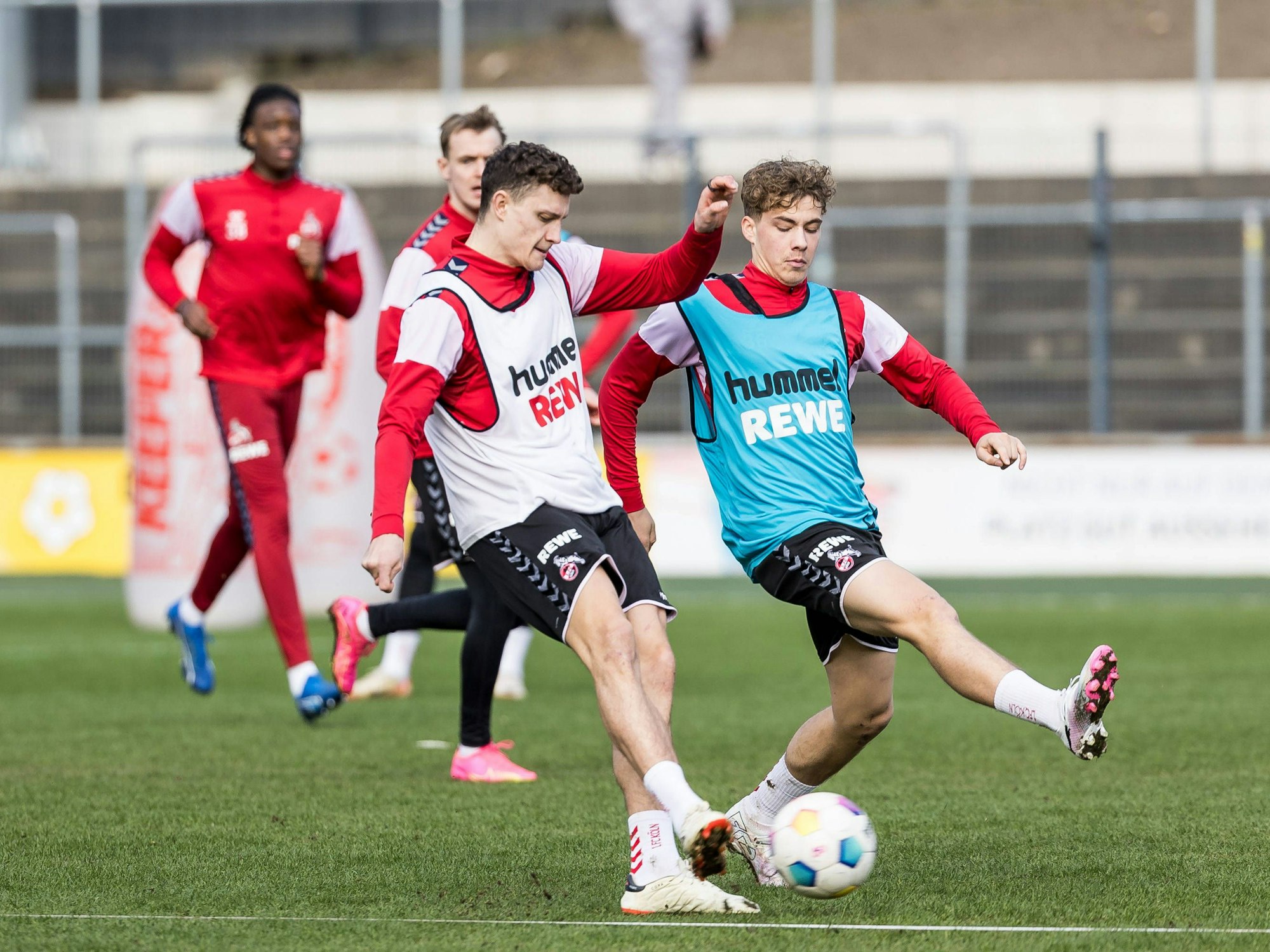 Eric Martel in einem Trainings-Zweikampf mit Meiko Wäschenbach.