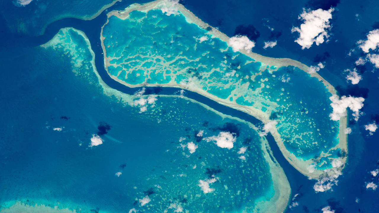 Das Handout der NASA zeigt das Great Barrier Reef (2015 fotografiert von der ISS aus).