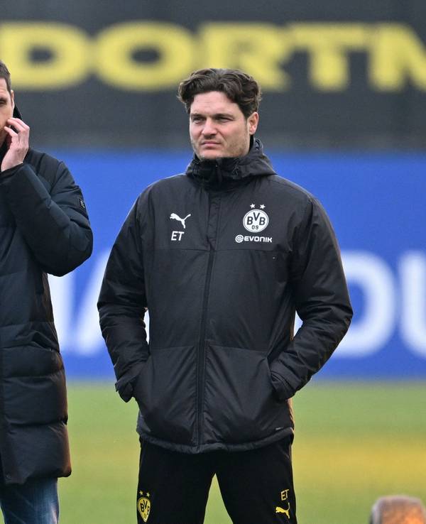 Sebastian Kehl und Edin Terzic stehen auf dem Platz.