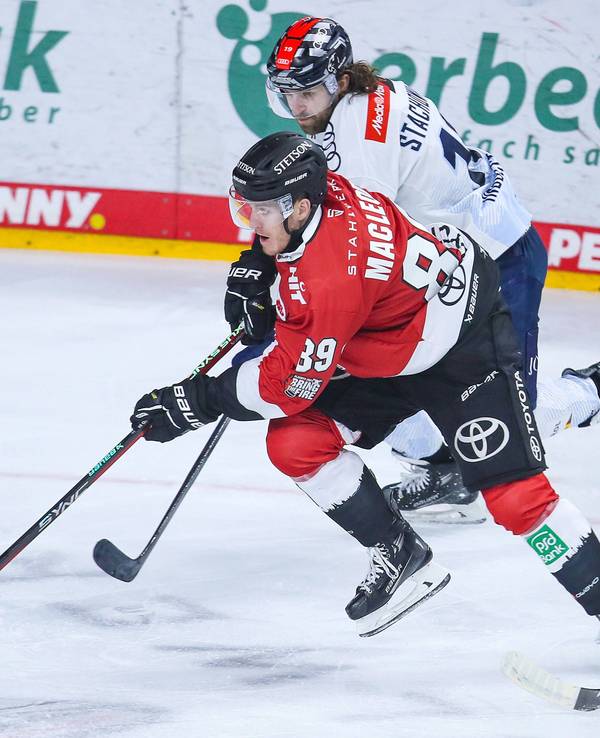 Gregor MacLeod Kölner Haie mit Puck in Aktion.