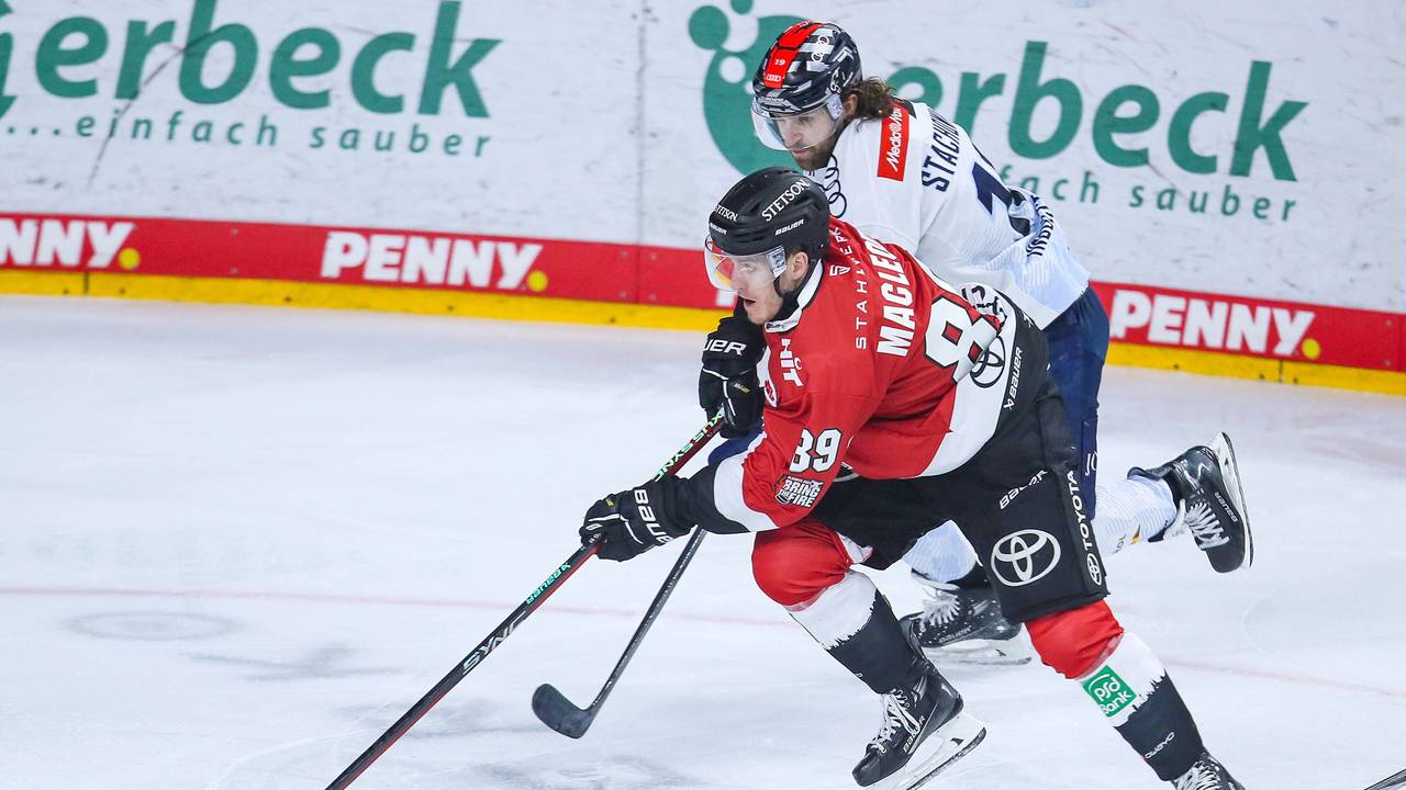 Gregor MacLeod Kölner Haie mit Puck in Aktion.