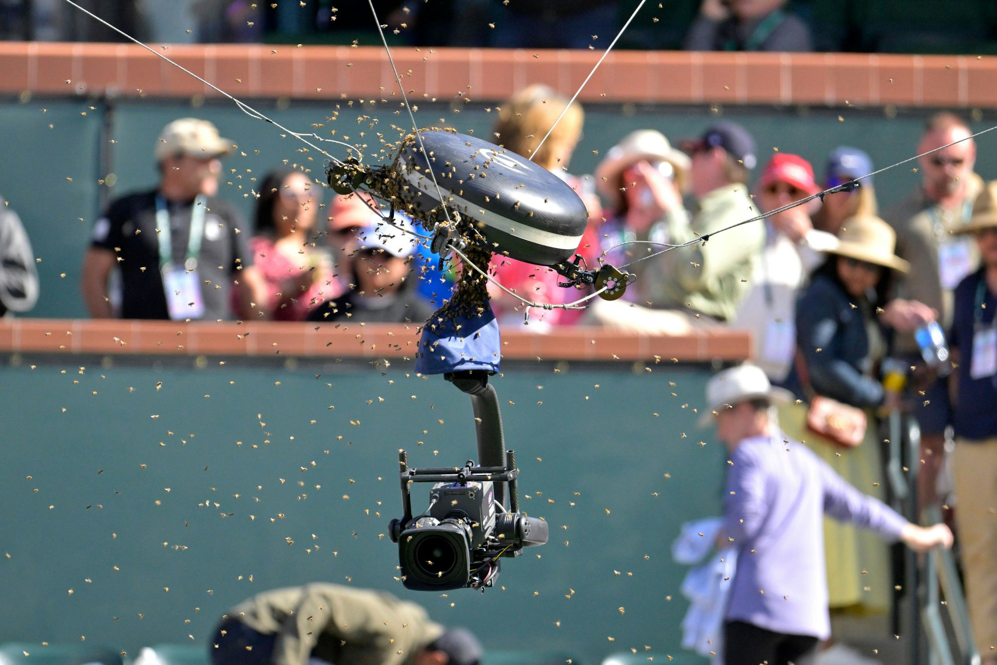 Die Spider-Cam in Indian Wells bedeckt von einem Bienenschwarm.