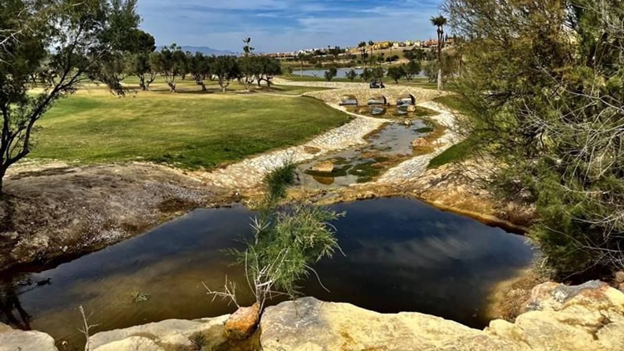 Der Golfplatz des FC-Hotels mit einem kleinen Bach, umringt von subtropischen Bäumen und einem kleinen Bach.