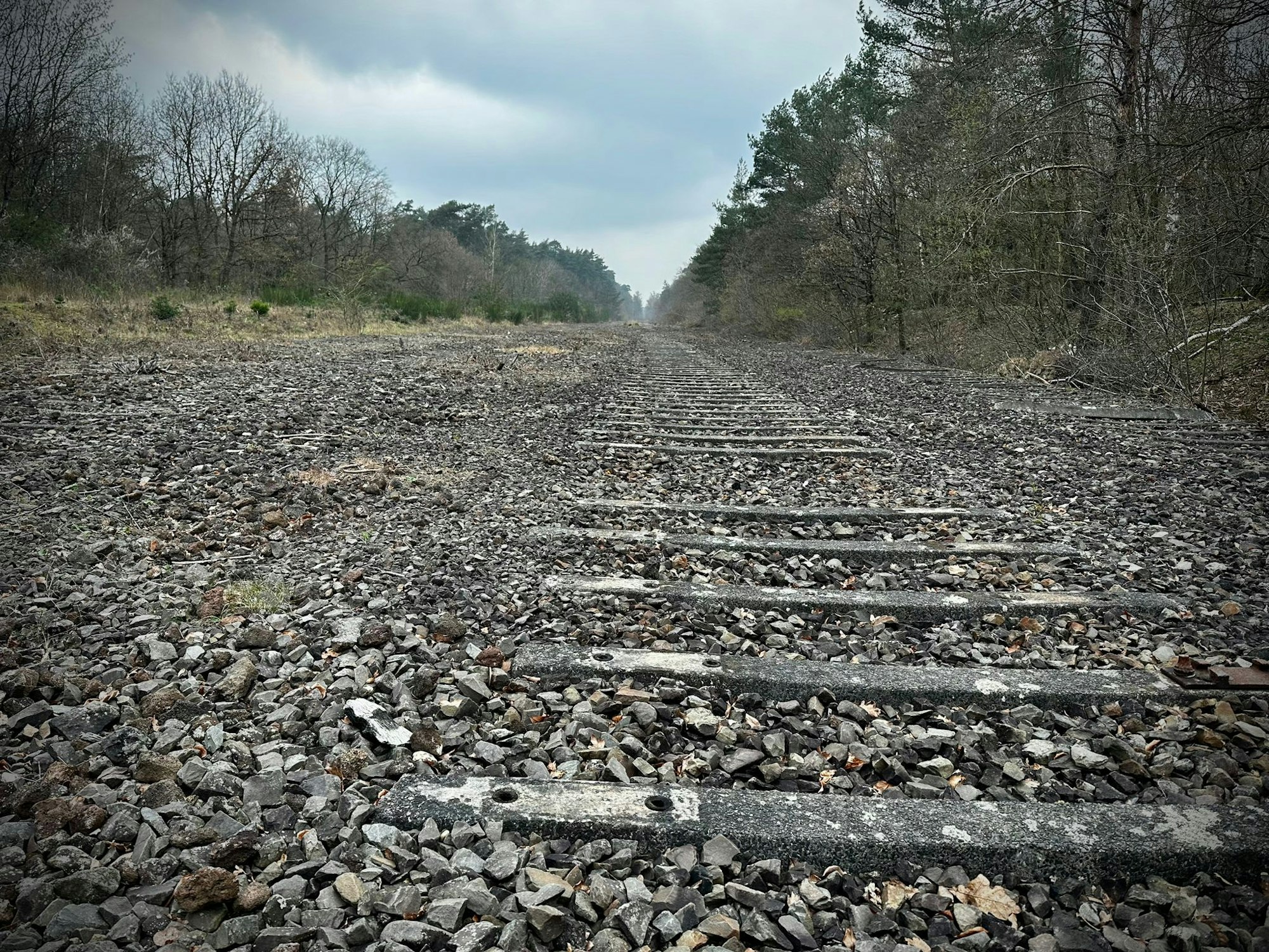 In der Wahner Heide erinnern Bahnschwellen und Schottersteine noch an einen ehemaligen Bahnhof.