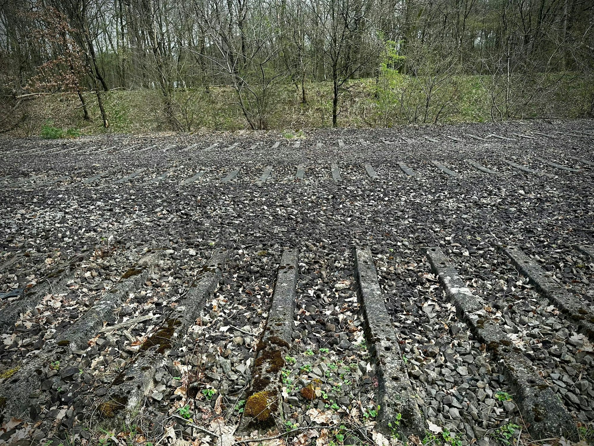 Ein Blick auf die ehemaligen Gleise in der Wahner Heide.