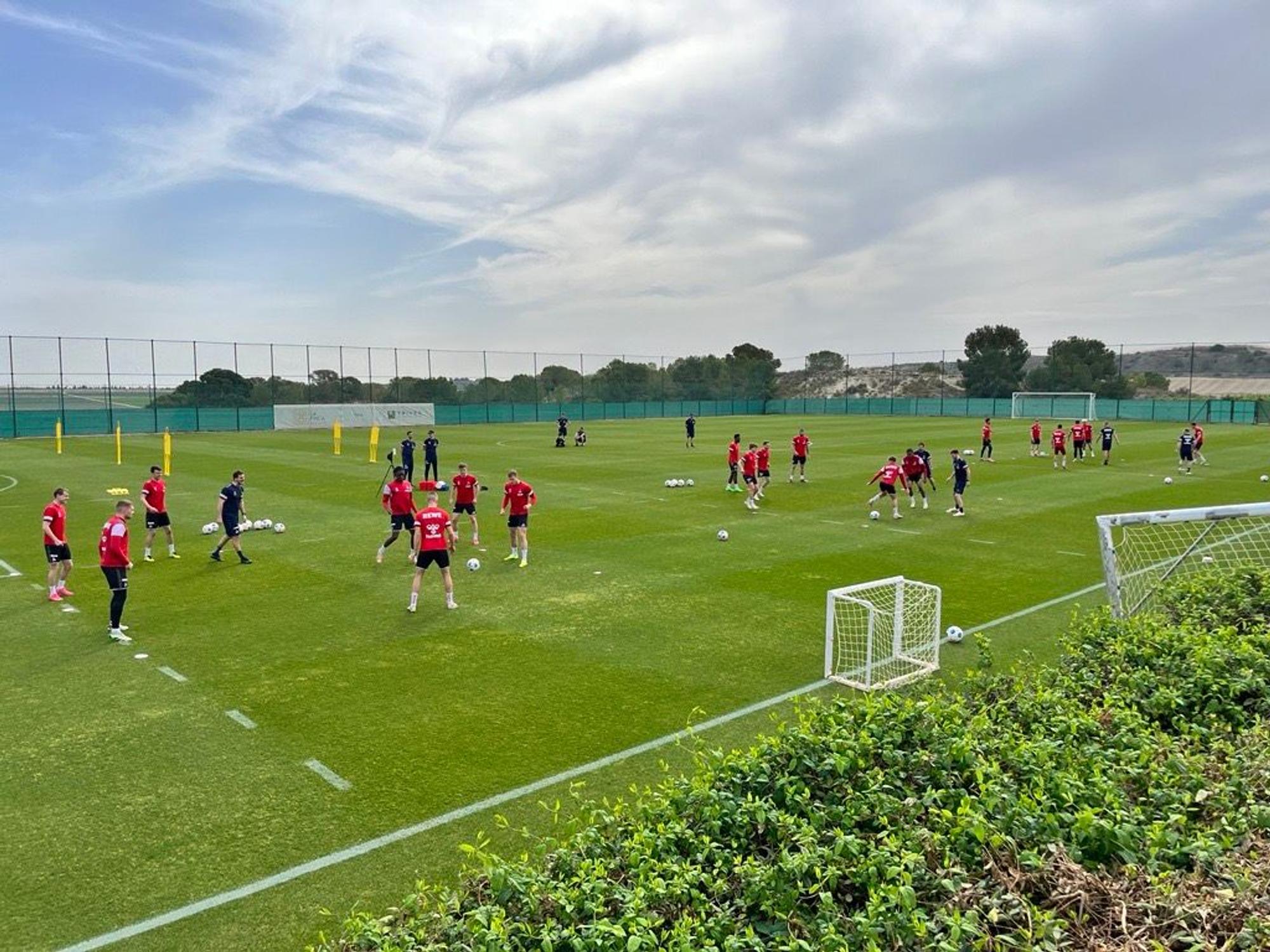 Die Profis des 1. FC Köln am Freitag (22. März 2024) auf dem Trainingsplatz im Trainingslager in Spanien.