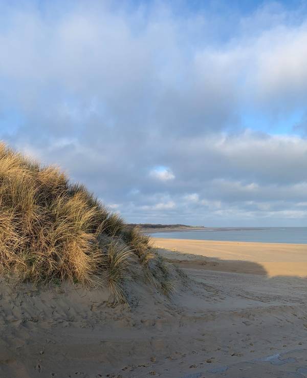Strand bei Scharendijke im März 2024