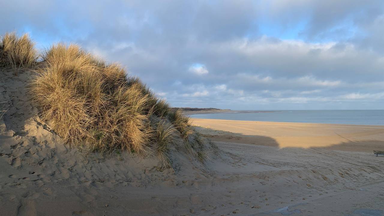 Strand bei Scharendijke im März 2024