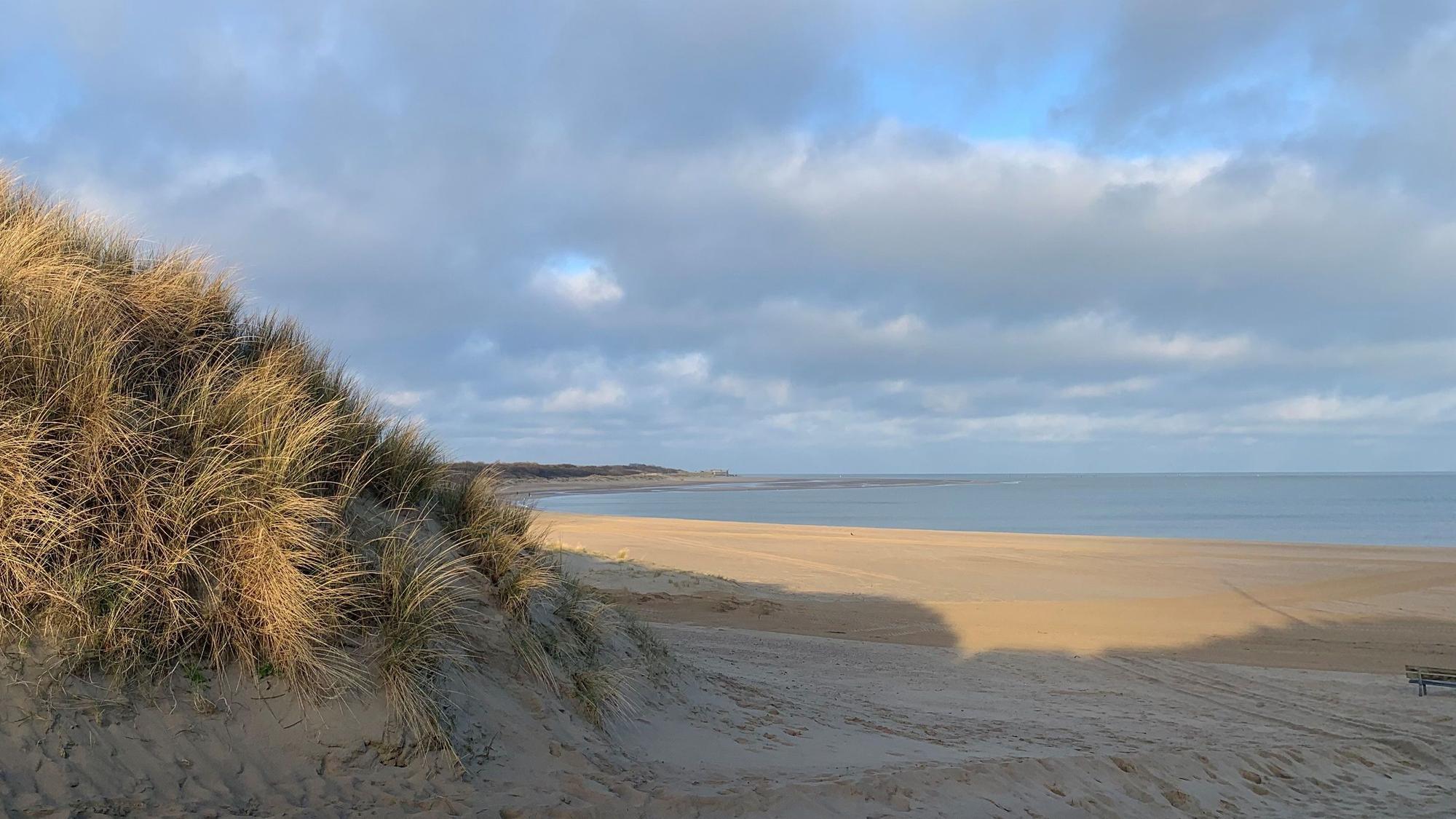 Strand bei Scharendijke im März 2024