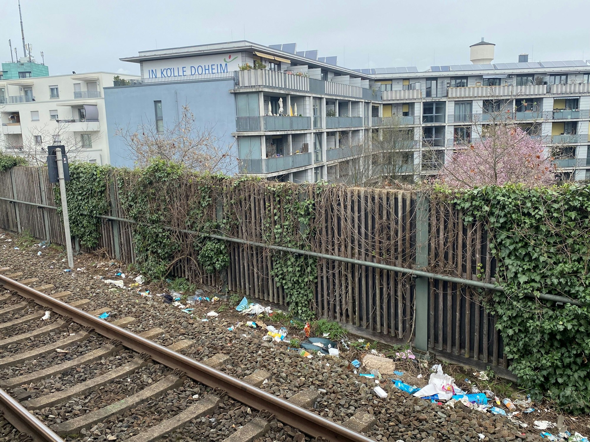 Viel Menschen an den Schienen neben dem Bahnsteig der S-Bahn-Haltestelle Trimbornstraße in Köln. Im Hintergrund sind Häuser zu sehen.