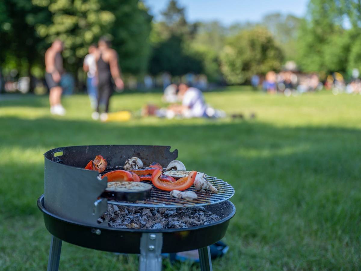 Ein Grill steht auf einer Wiese.