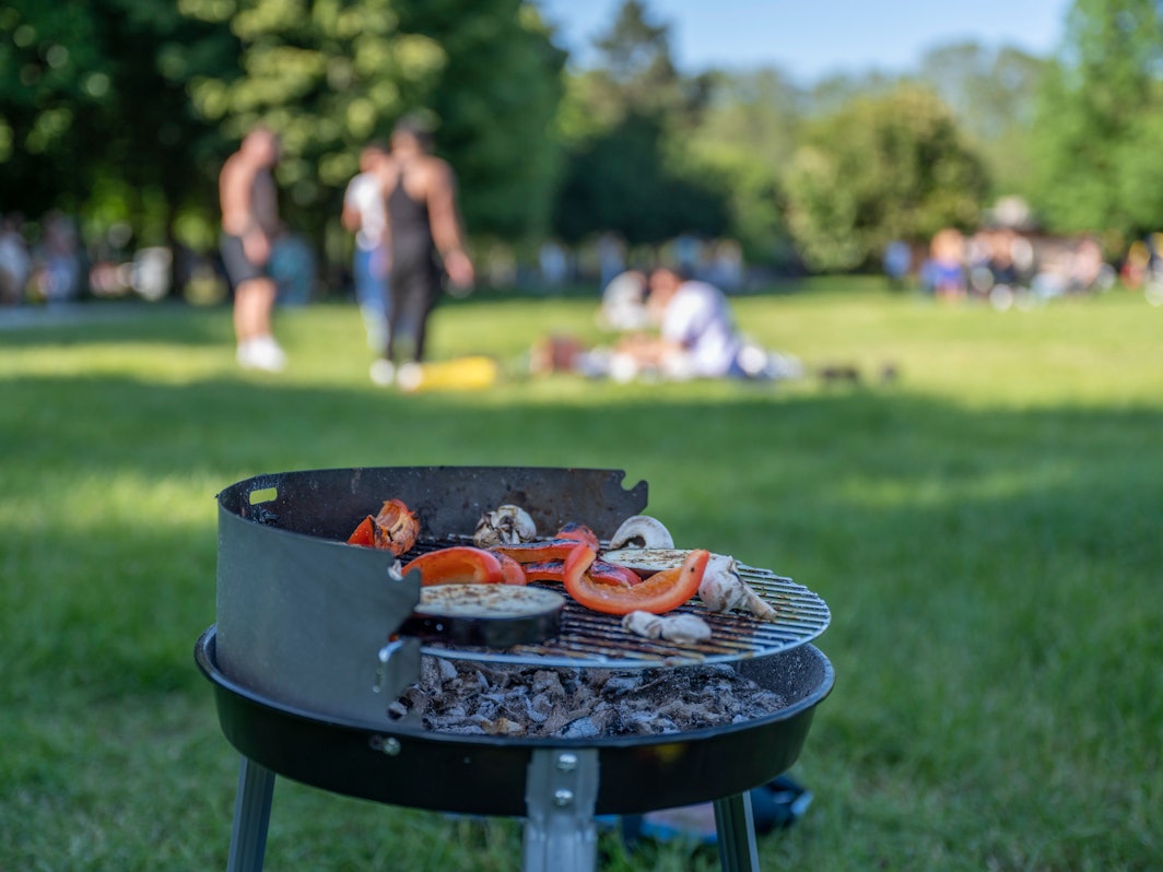 Ein Grill steht auf einer Wiese.