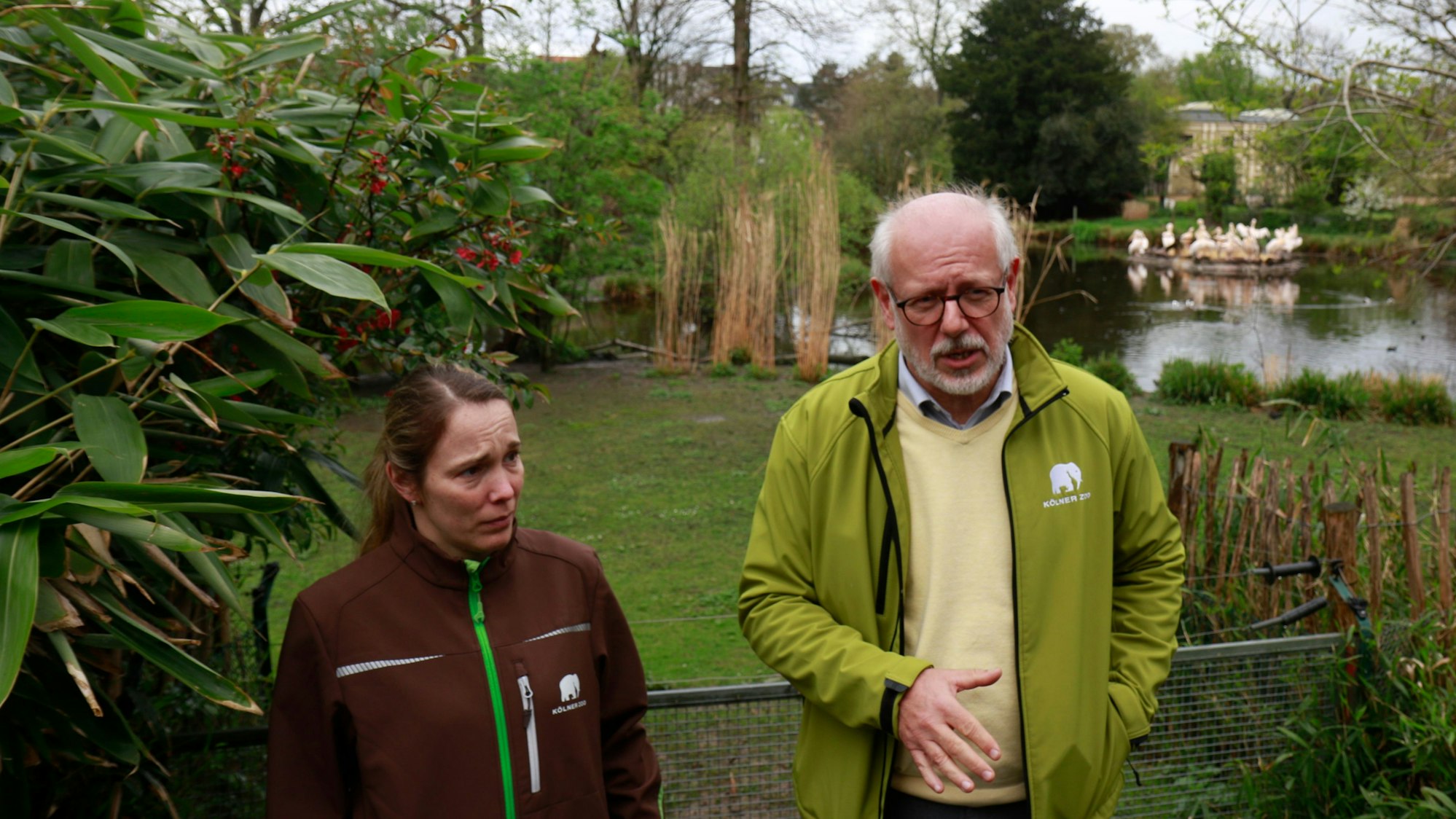 Ein Mann und eine Frau vor einem Gehege im Kölner Zoo.