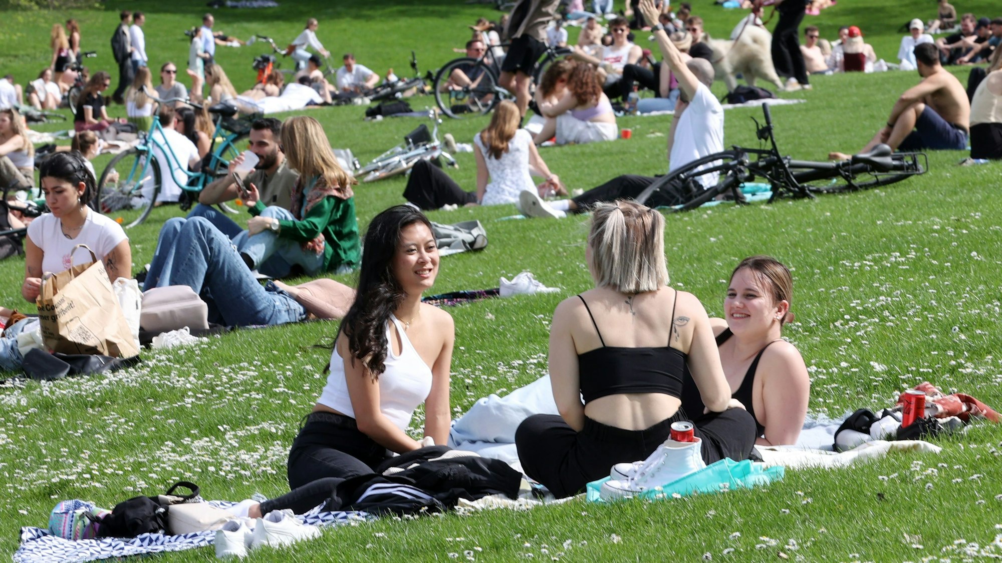 Kölner und Kölnerinnen genießen das sommerliche Wetter am Aachener Weiher.